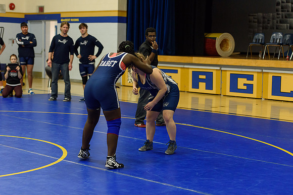 Wrestling DHS 011516-3-4350
