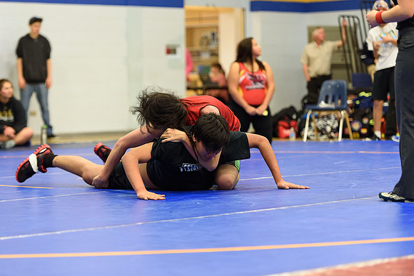 Wrestling DHS 011516-3-3775