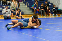 Wrestling DHS 011516-3-2336
