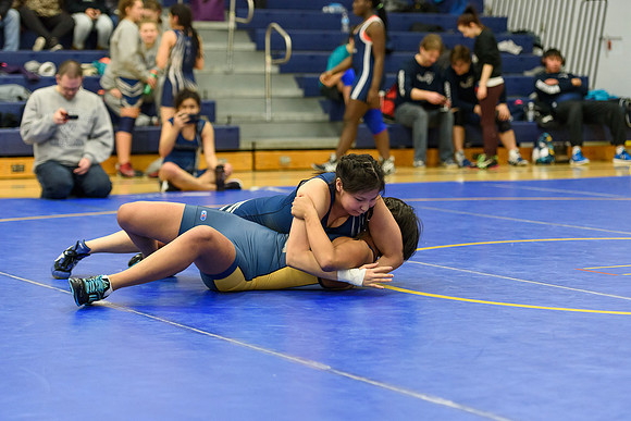 Wrestling DHS 011516-3-2336