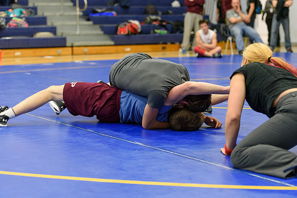 Wrestling DHS 011516-3-2989