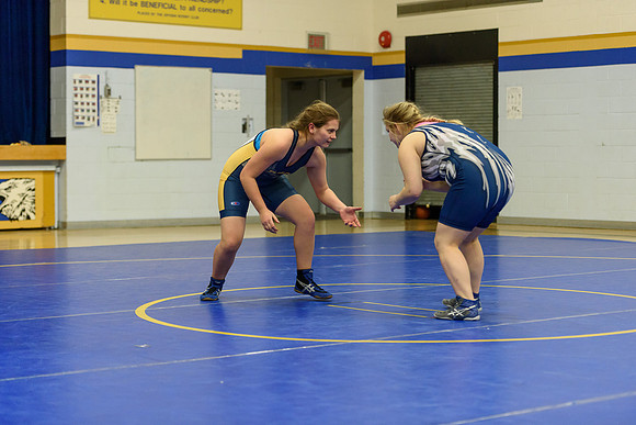 Wrestling DHS 011516-3-5769