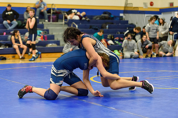 Wrestling DHS 011516-3-4237