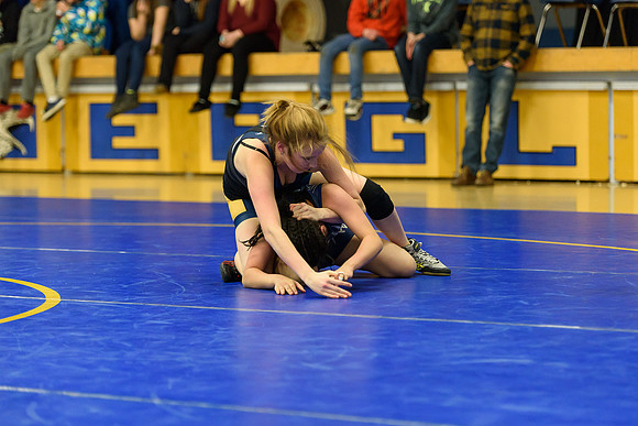 Wrestling DHS 011516-3-4025