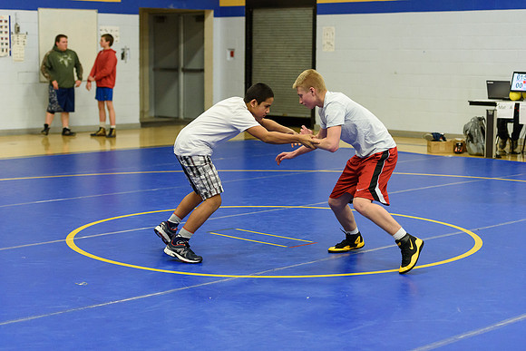 Wrestling DHS 011516-3-4480