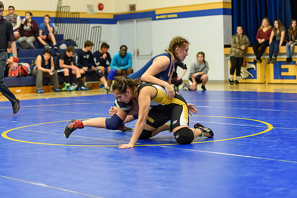 Wrestling DHS 011516-3-3337