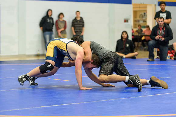 Wrestling DHS 011516-3-3550