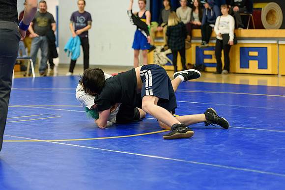 Wrestling DHS 011516-3-2862
