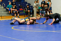 Wrestling DHS 011516-3-2207