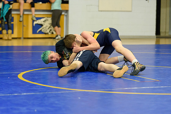 Wrestling DHS 011516-3-5345