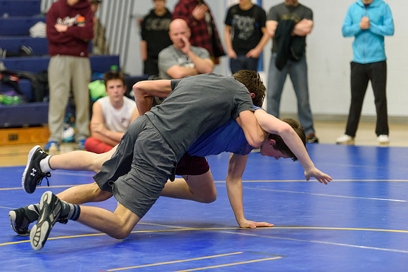 Wrestling DHS 011516-3-2981