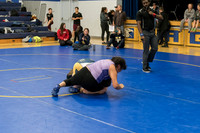 BH0-011317-7593
