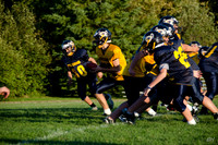 Dryden Falcons